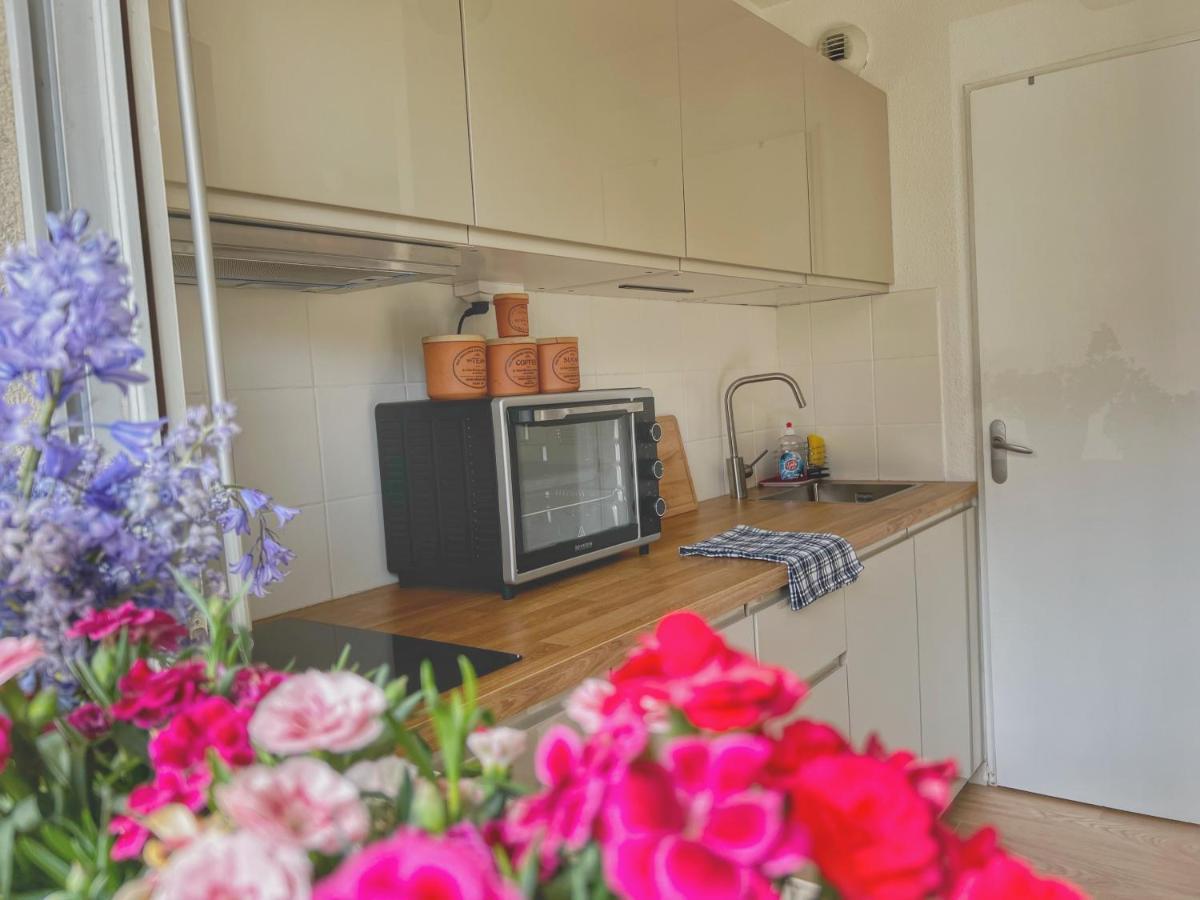 La Voulzie Appartement - Proche Centre Avec Parking Prive Προβέν Εξωτερικό φωτογραφία